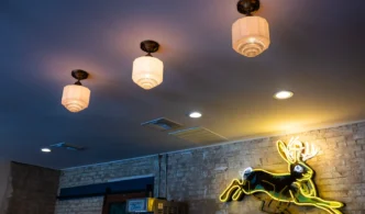 Neon Jackalope